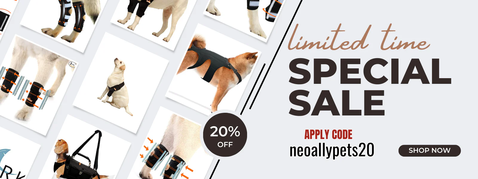 Welcome to Our Store