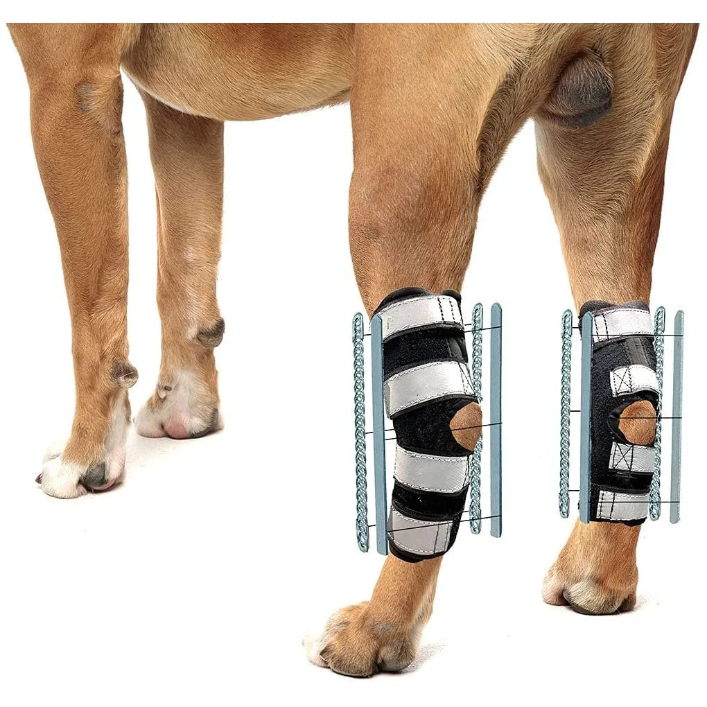Dog Rear Leg Braces