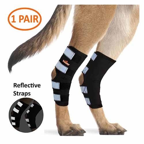 Rear Leg &amp; Knee Braces